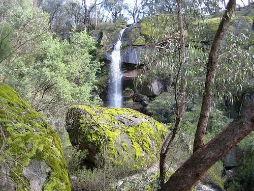 Cotton Tree Camp Ground