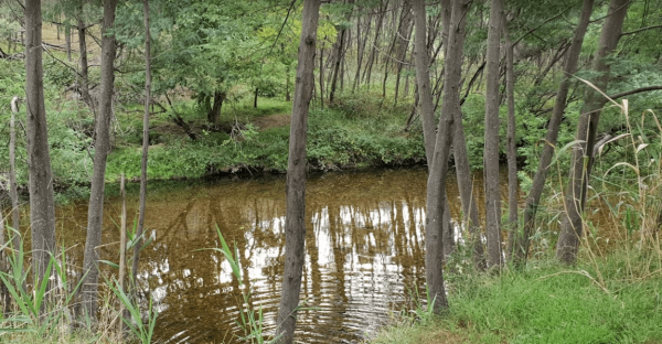 Italian Flat Campground