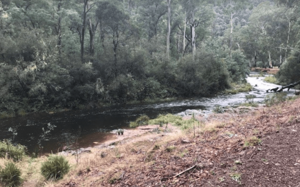 Davons Flat Camping Area