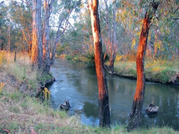 Doolans Bend Camping Area