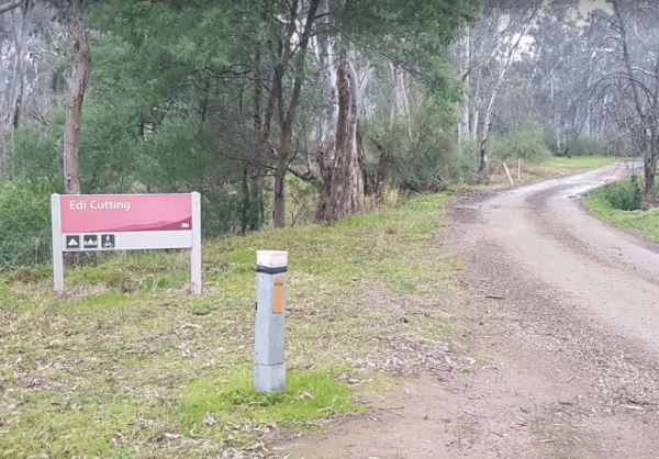 Edi Cutting Camping Area