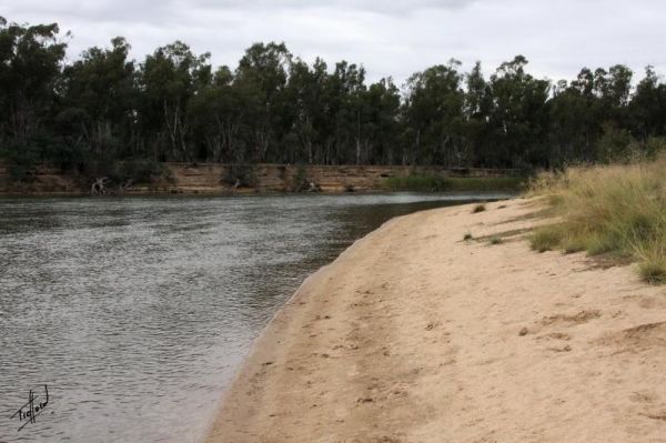 Finley Beach Camping Area