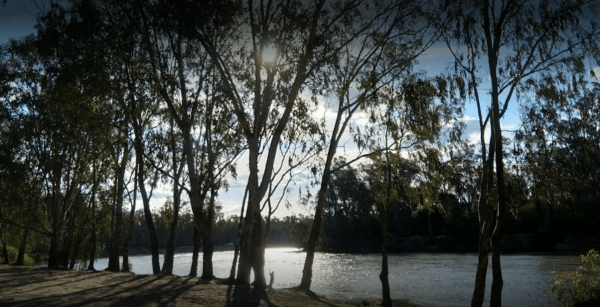 Big Toms Beach Camping Area