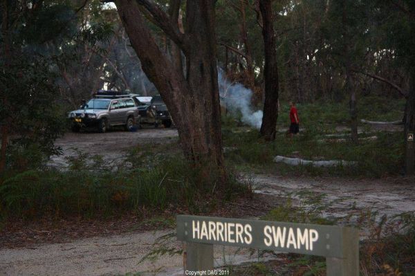 Holey Plains State Park - Harriers Swamp