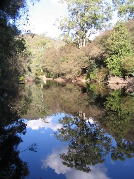 Jimmy Bullocks Camping Area