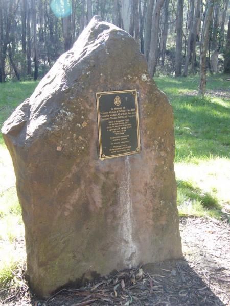 Kelly Tree Stringybark Creek Campground Area Area