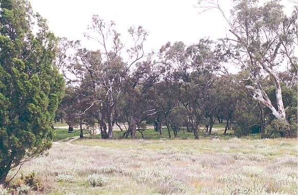 Lake Albacutya Regional Park Camping Area