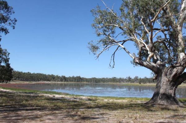 Lake Ratzcastle Camping Area