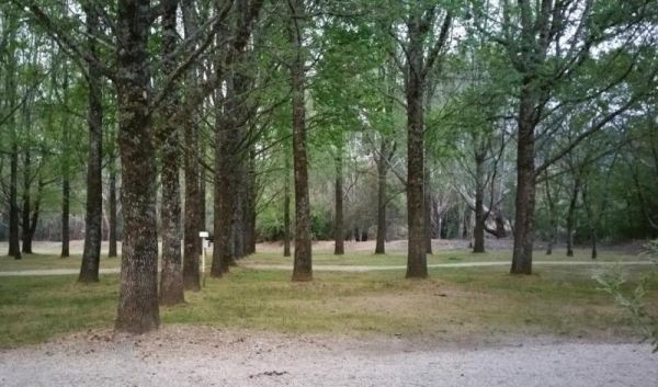 Mount Buffalo Caravan Park