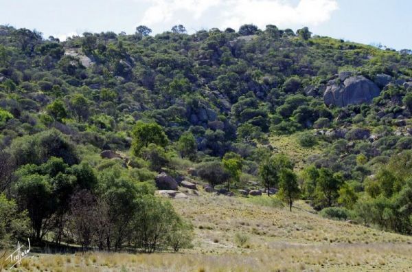 Mt Korong Scenic Reserve