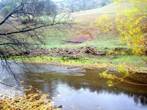 Nariel Creek Recreation Reserve Camping Area