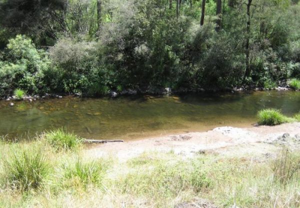 Noonans Flat Camping Area