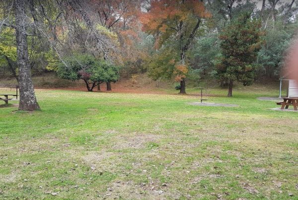 Sheepyard Flat Camping Area