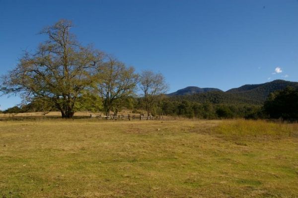 Bendethera Valley Camping Area