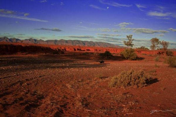 Brachina Creek Rest Area