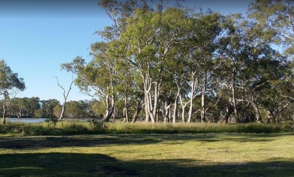 Cockatoo Lake Reserve