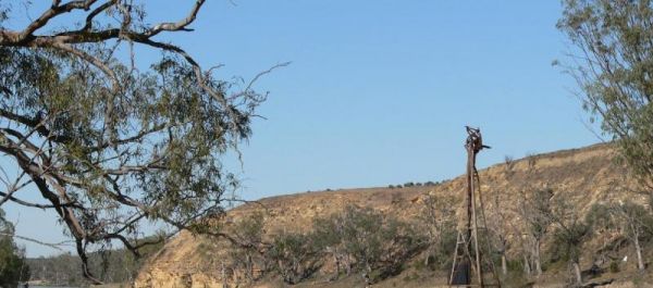 Heron Bend Camping Area