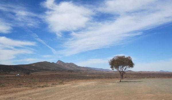 Moralana Creek Rest Area