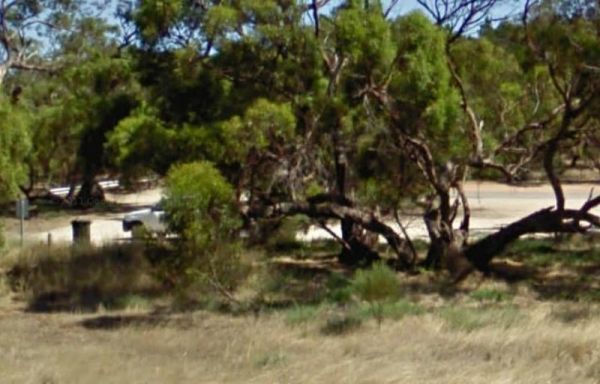 Tailem Bend South Rest Area