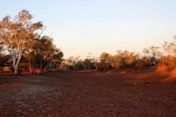 Bilyuin Pool Camping Area