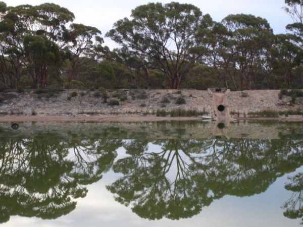 Bromus Dam Camping Area