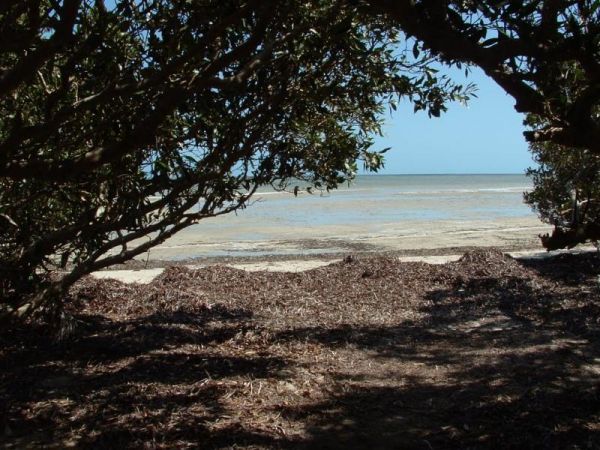 Bush Bay Camping Area