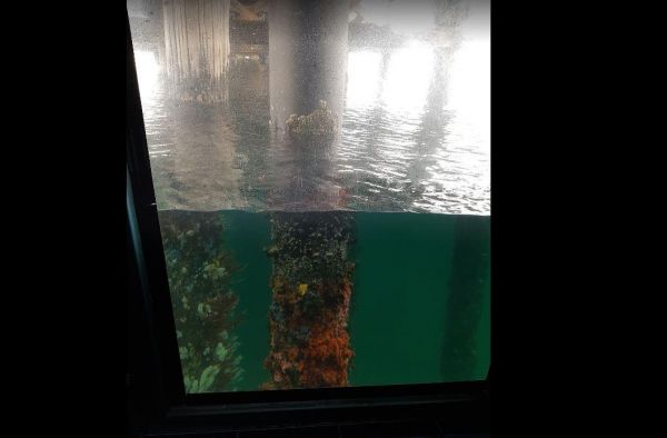 Underwater Observatory