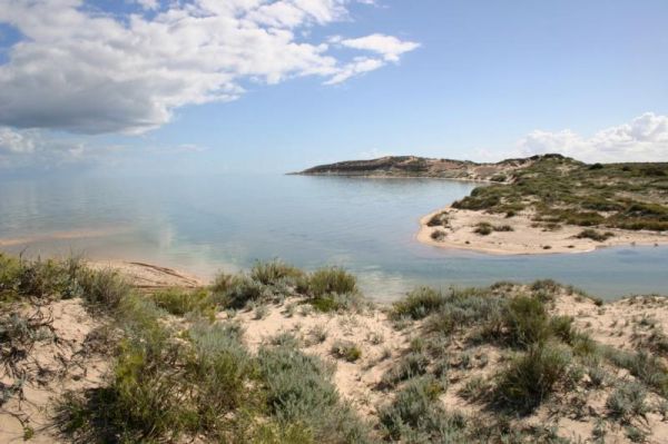 Eagle Bluff Campsite