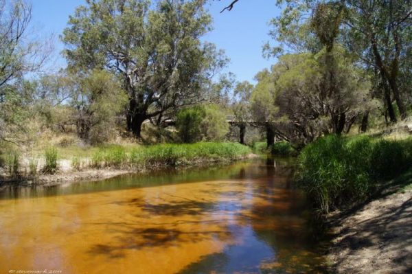 Moore River Bridge Rest Area