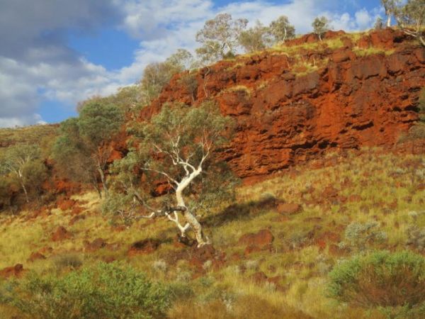 Mt Robinson Rest Area