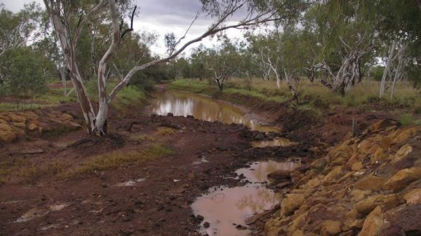 Sturt Creek Rest Area