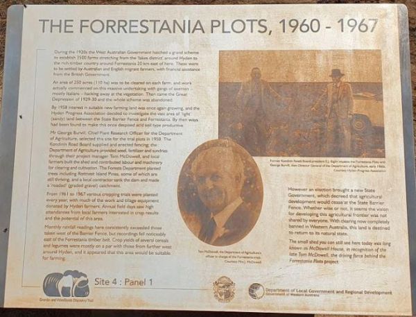 The Forrestania Plots Camping Area