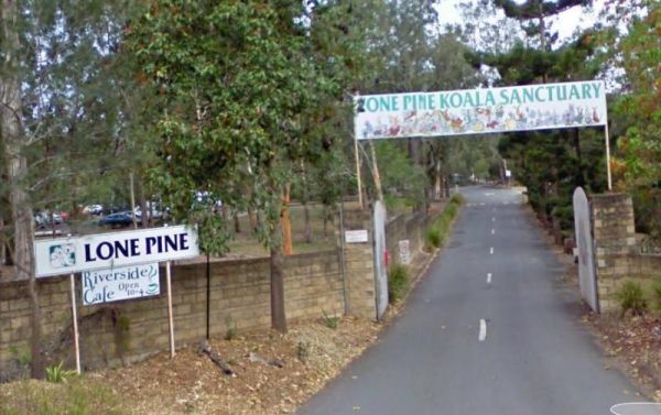 Lone Pine Koala Sanctuary