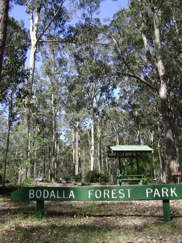 Bodalla Forest Park Rest Area