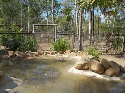 Billabong Sanctuary