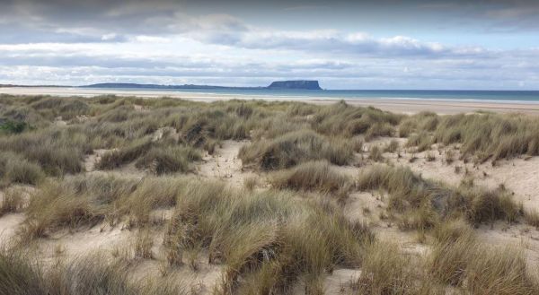 Black River Camping Area