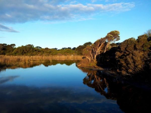 Grants Lagoon Camping Area