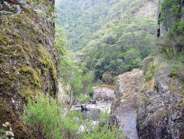 Leven Canyon Reserve Rest Area