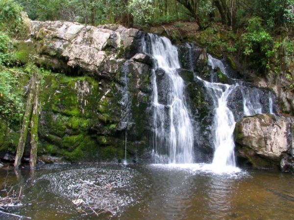 Lilydale Falls Reserve Camping Area