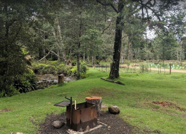 Lower Liffey Reserve Camping Area