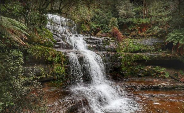Lower Liffey Reserve Camping Area