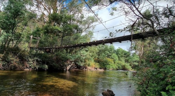 Dargo – Two Mile Creek camping ground