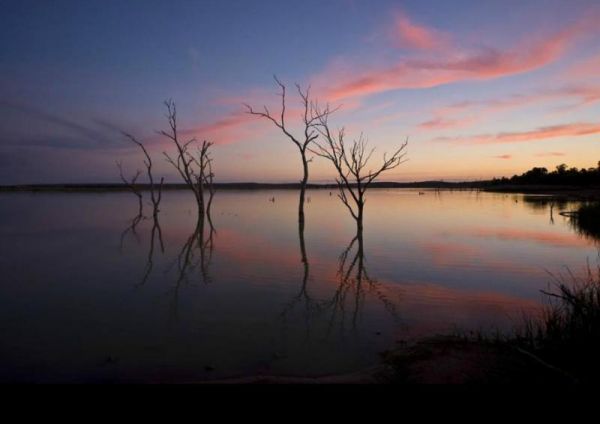 Lake Wyangan Picnic Area 72 Hour Limit
