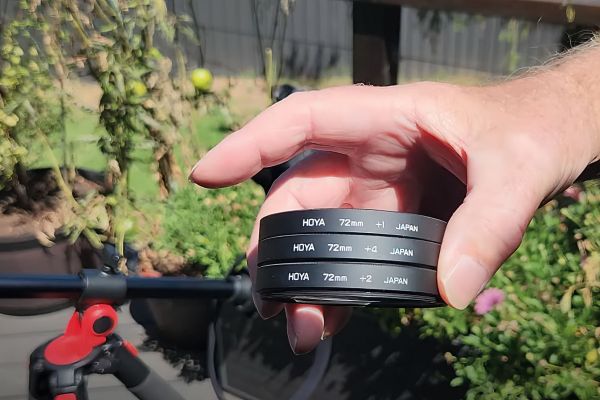 Hoya Close Up Filter Lens Set: The Affordable Way to Get Macro Photography Results