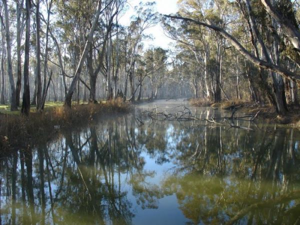 Gulpa Island Precinct Camping Area