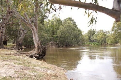 Illilawa River Reserve Rest Area