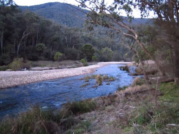 Jounama Creek Camping Area