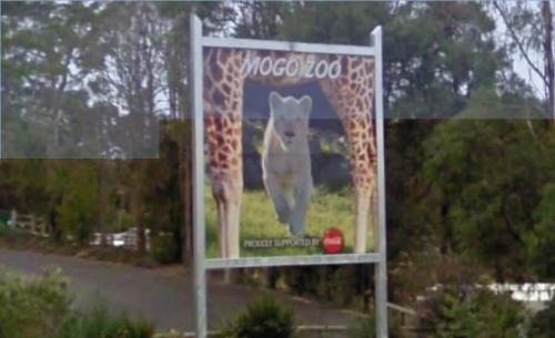 Mogo Zoo