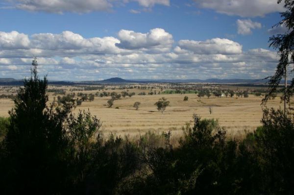 Nancy Coulton Lookout Rest Area