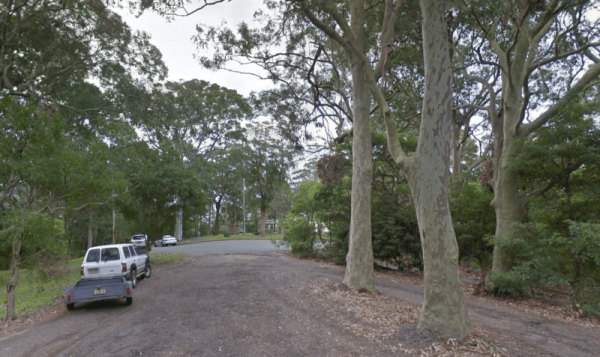 Blackbutt Reserve